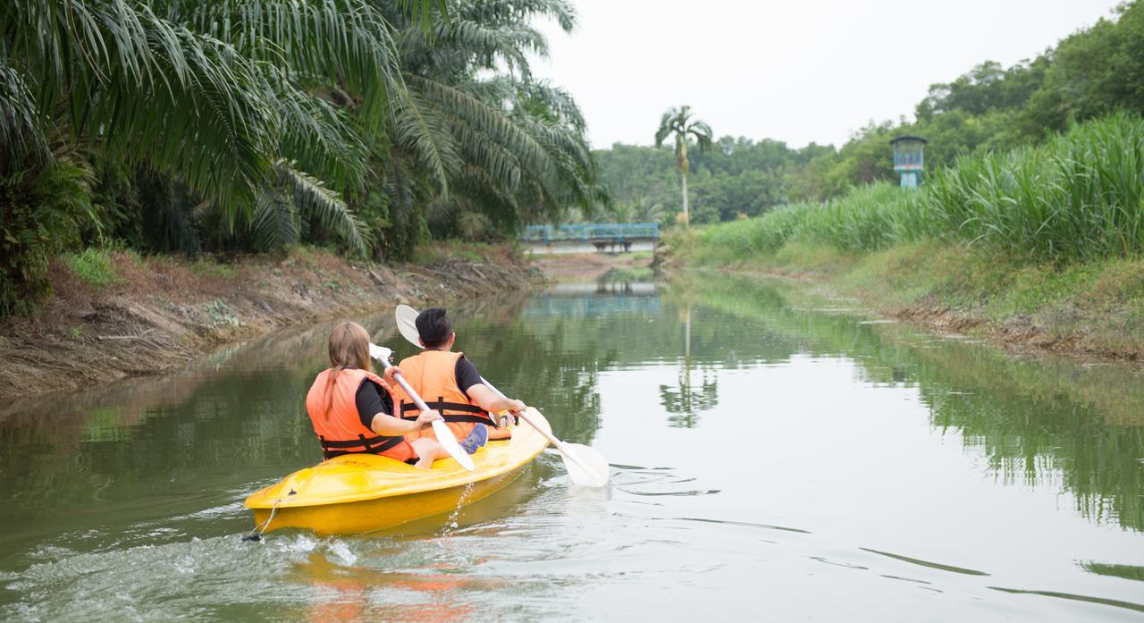 Sinar Eco Resort Kampong Bukit Panjang Exterior foto